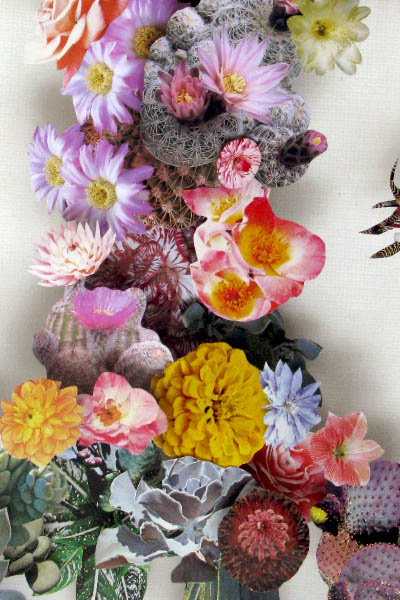 In Bloom Haunt Mag, 2012
